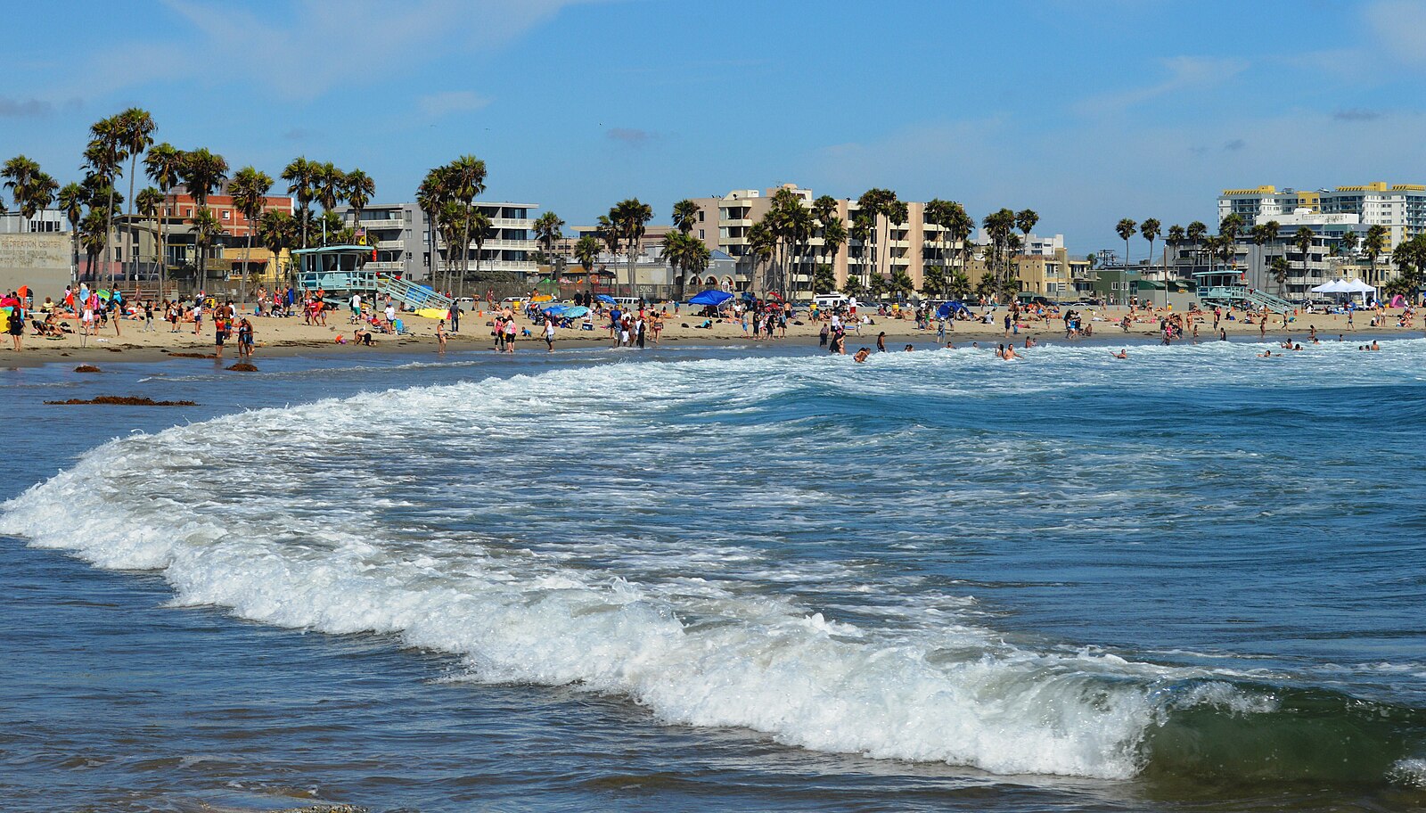 Aerial view of Venice beach.