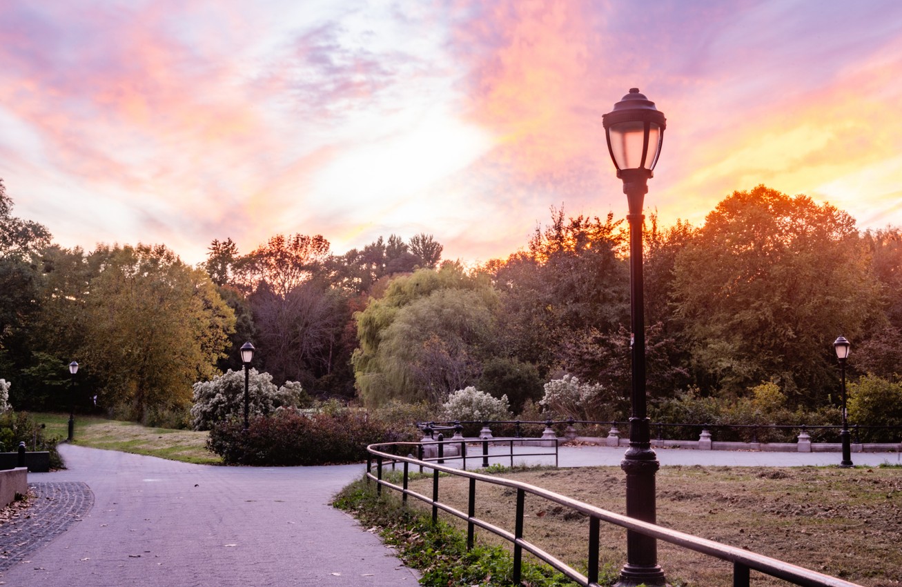 Featured Community Image - Sunset Park