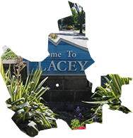 Lacey
