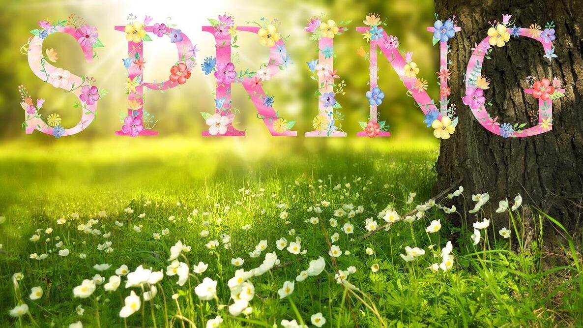 Spring Has Arrived in Thurston County