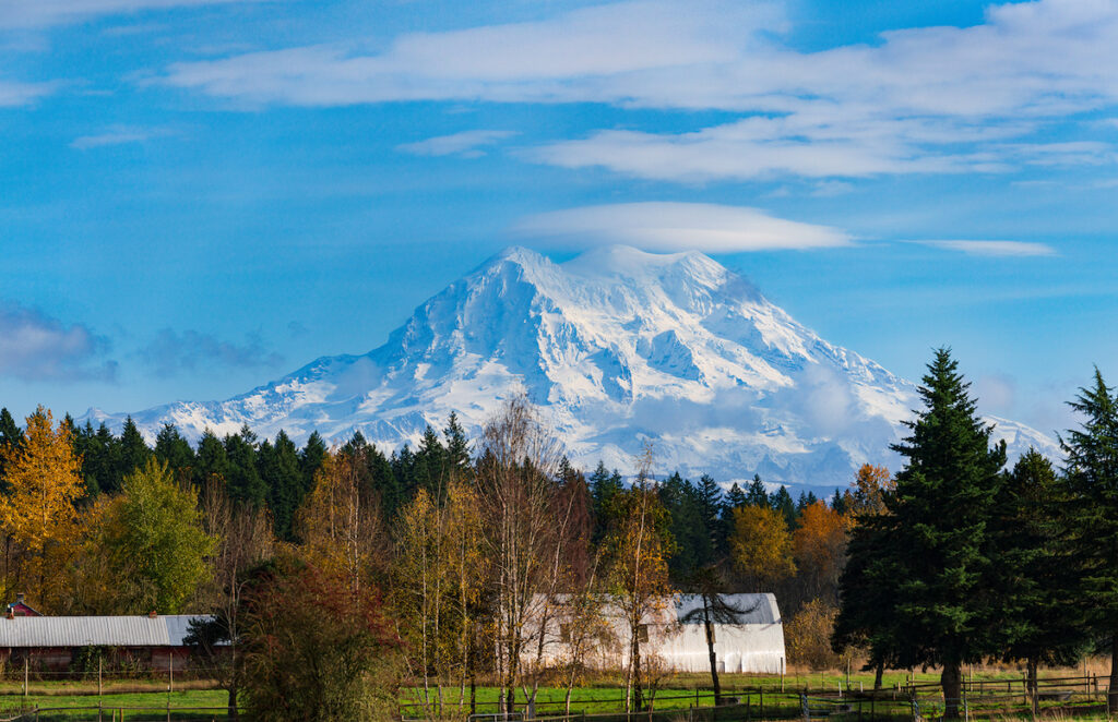 Hidden Gems: Underrated Areas in Thurston County That Buyers Keep Overlooking