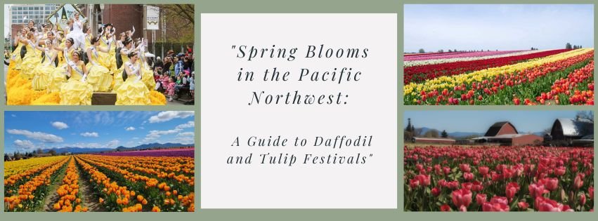 Spring Blooms: A Guide to Daffodil and Tulip Festivals!