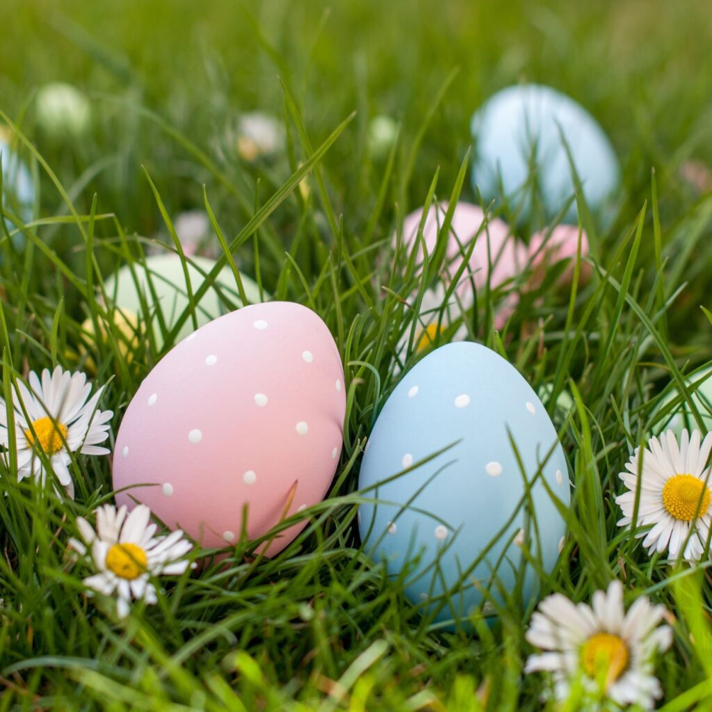Hop into Spring with These Egg-citing Easter Hunts in Thurston and Pierce County!