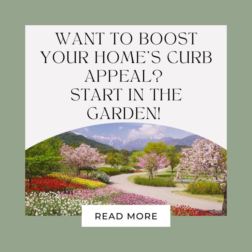The Ultimate Guide to Spring Planting: Boost Your Curb Appeal & Home Value