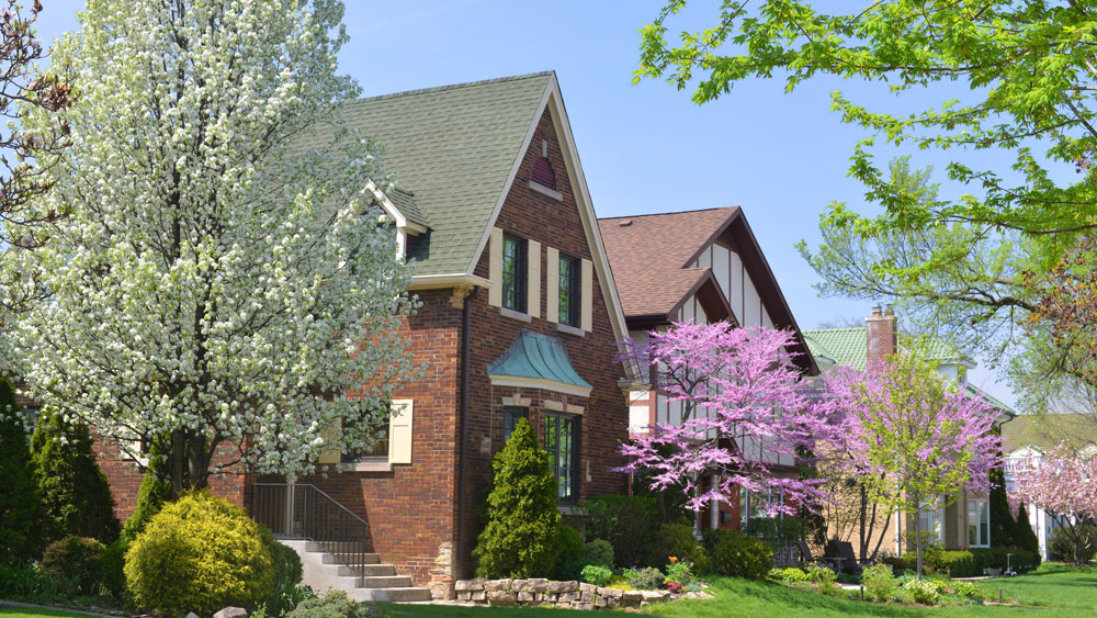 Grayslake