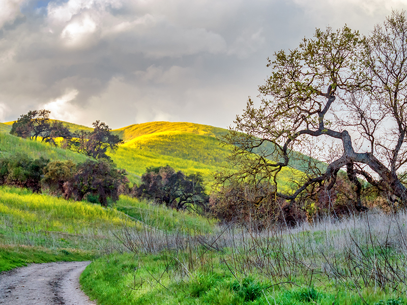 Agoura Hills