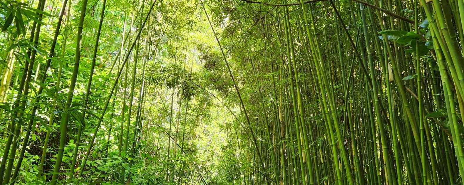 East maui