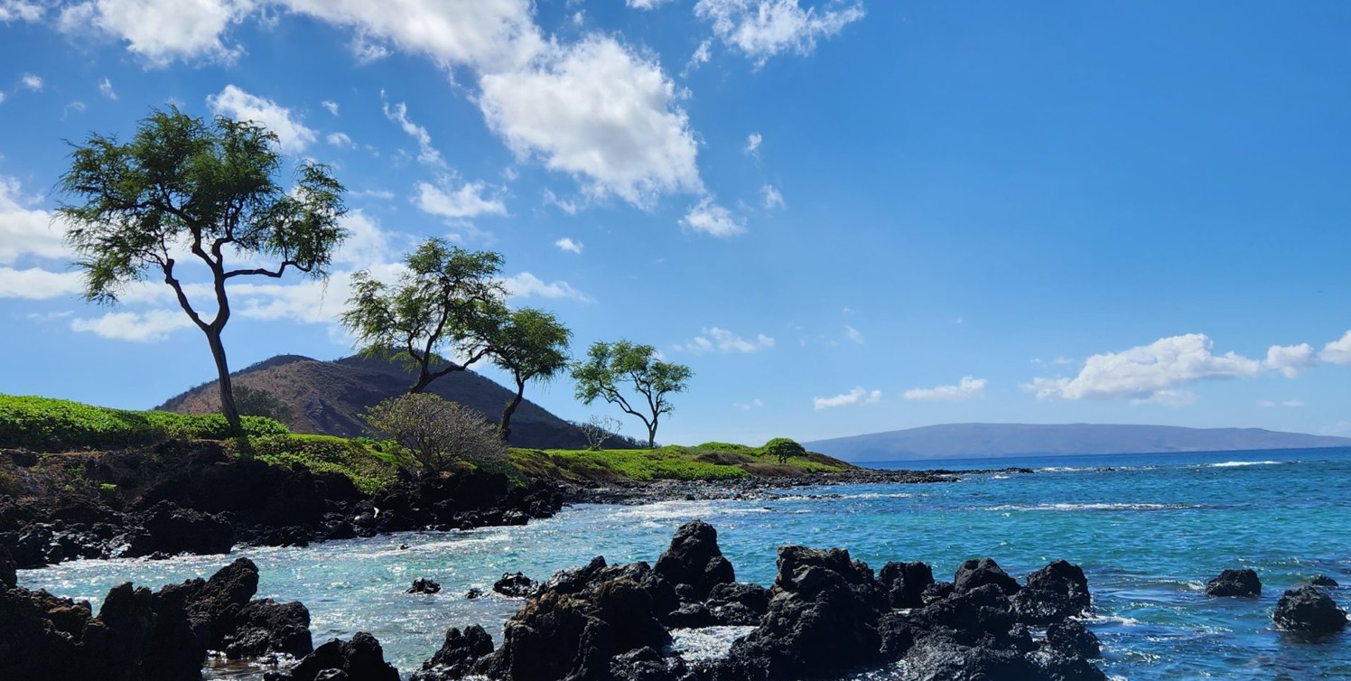 South Maui