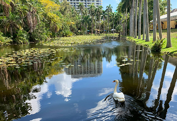 Fresh water slough, body of water flowing between the Bonnet House and the Atlantic Ocean, directly on Fort Lauderdale Beach, Florida, USA