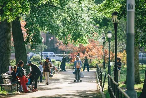 Bedford - Stuvyesant