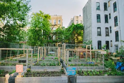 Bedford - Stuvyesant