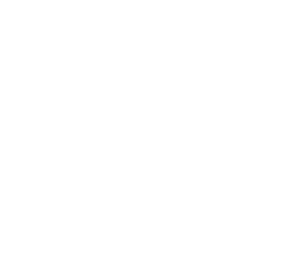 Aella Fan