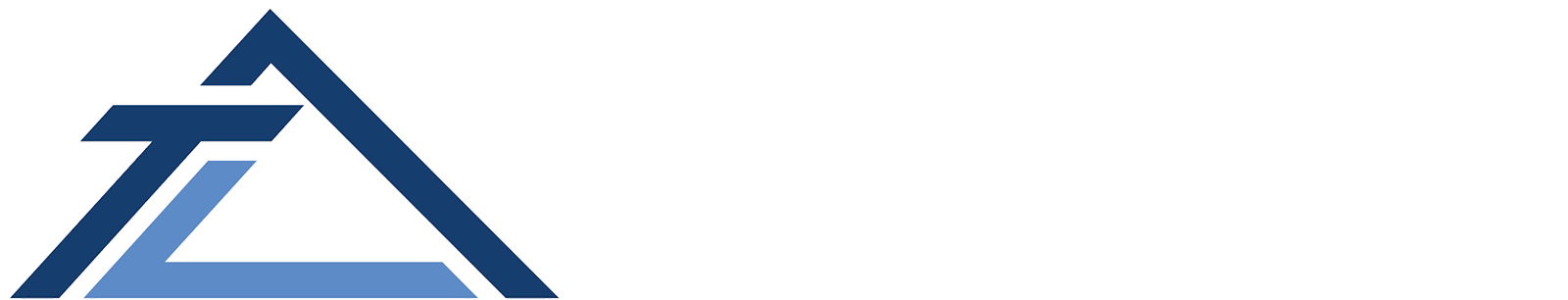 Thomas Lynne Realty Group 