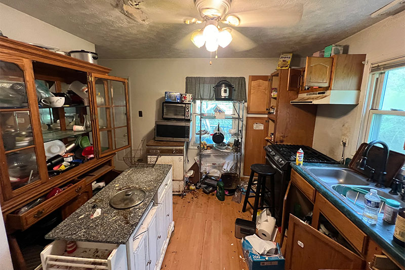 Before Photo