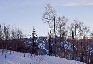 Mountain Star