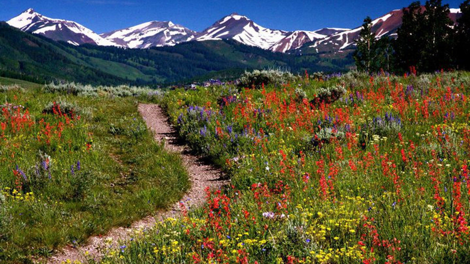 Top things to do in Aspen in Summer