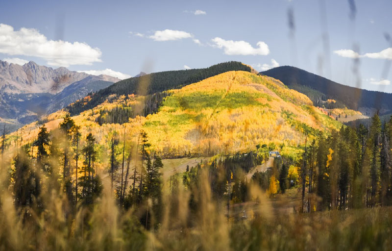 How's the Market? - September 2025