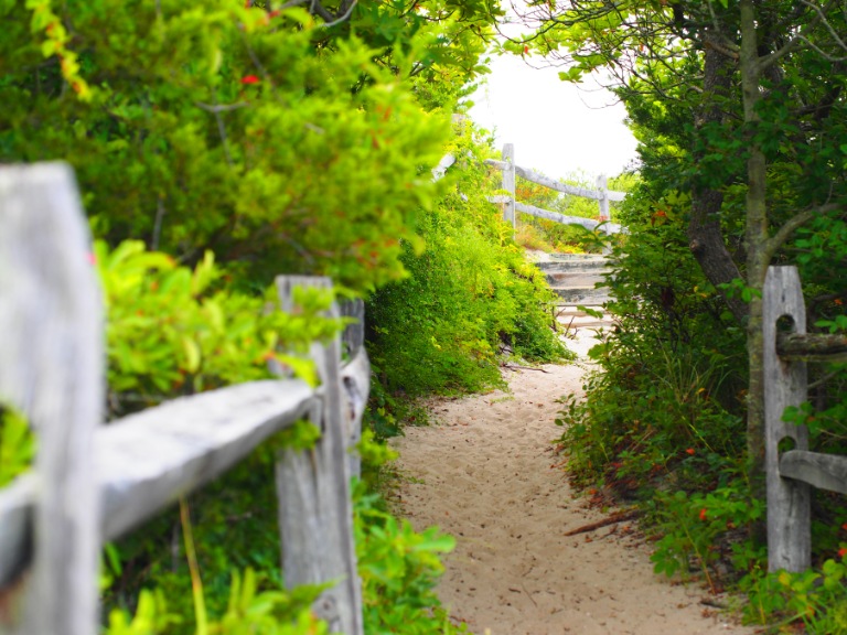 Sandy Path
