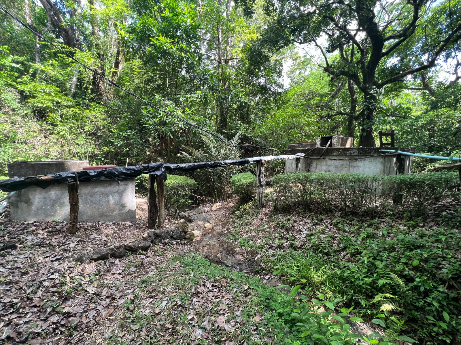 Slideshow Photo