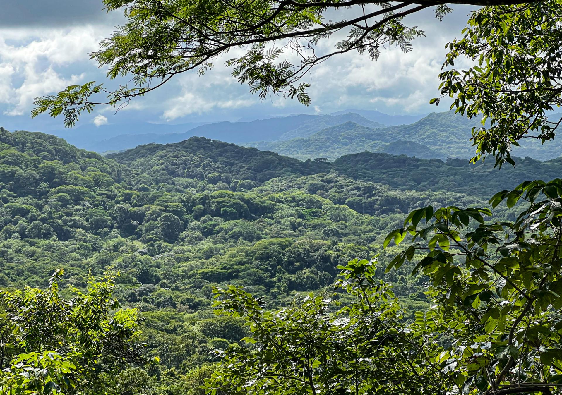 Lot 8-F – Prime Ocean-View Ridgeline Homesite in Las Crestas, Senderos Image