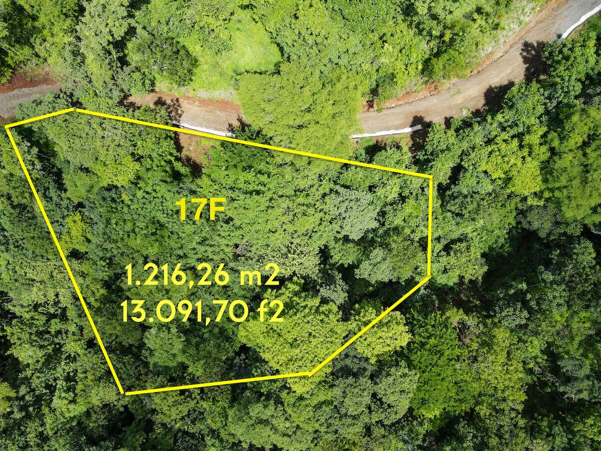 Lot 17-F – Stunning Mountain View Lot in the Gated Community, Senderos Image