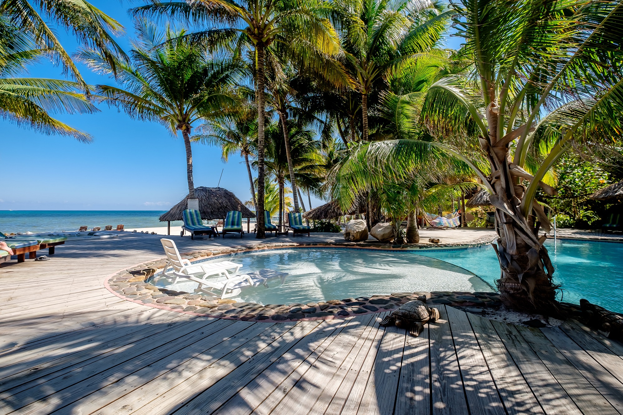 belize mls style property listings