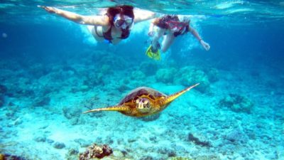 belize snorkeling adventures