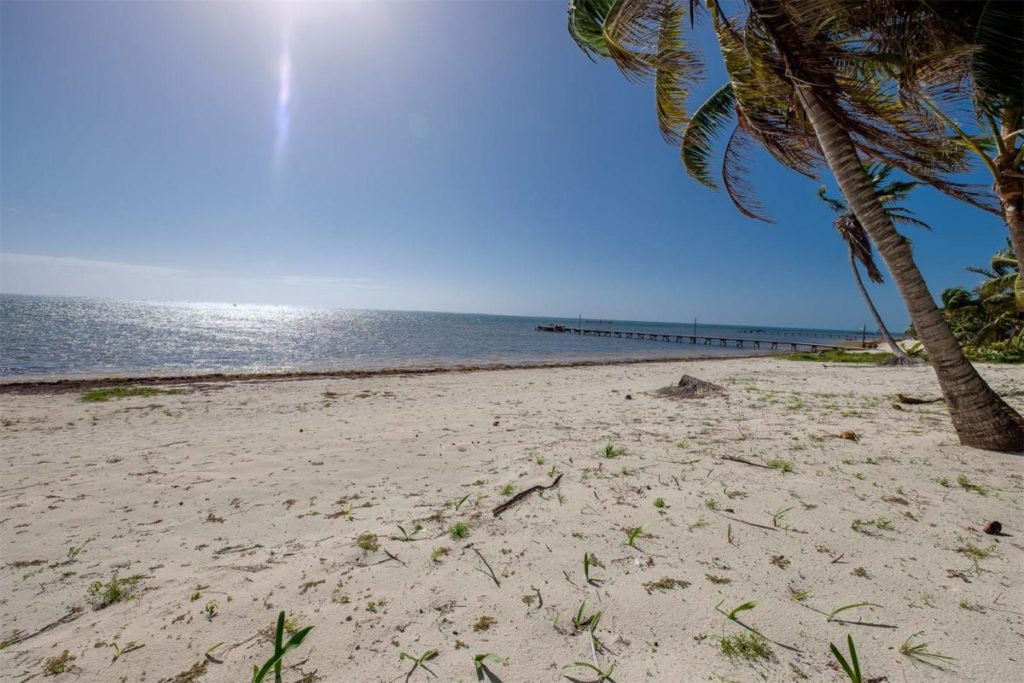 belize beachfront land for sale palmero point