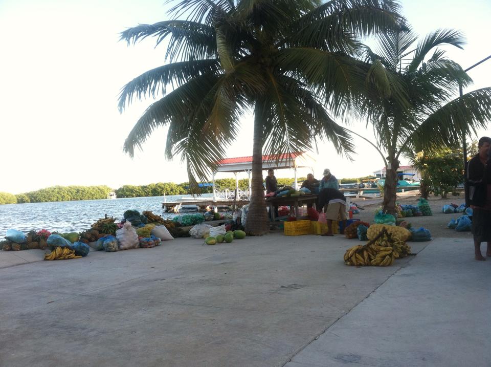 belize farmers market ambergris caye