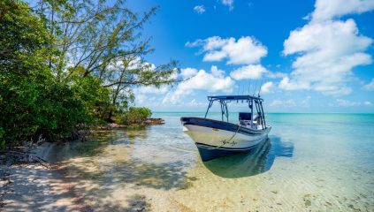 belize waterfront property for sale in the secret beach area