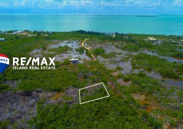 belize investment property near secret beach belize