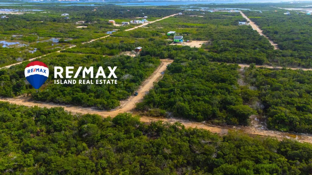 Arial view of land