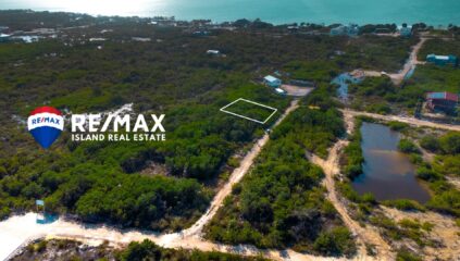 Arial view of 10146 lot