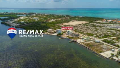 aerial of tarpon bay belize real estate land for sale
