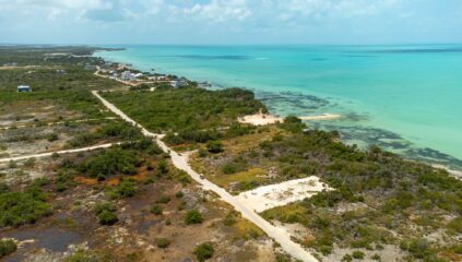 Aerial of Beachfront Property at Secret Beach for sale in belize