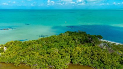 Aerial view of 2.4-acre beachfront property at Secret Beach, Ambergris Caye, showing over 250 feet of Caribbean Sea frontage and buildable high land