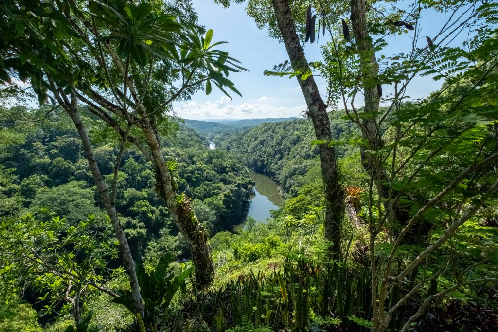 Scenic aerial view of 30-acre property near San Ignacio, Belize, showing lush jungle and flowing creek through the estate.