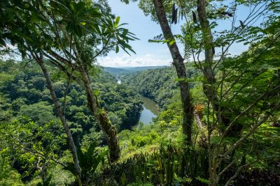 Scenic aerial view of 30-acre property near San Ignacio, Belize, showing lush jungle and flowing creek through the estate.