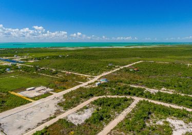 Aerial of grand Belizean estates land for sale parcel 9979