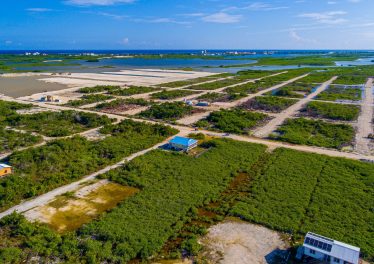 Aerial of corner lot in secret beach