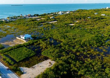 100x100 ft lot in Secret Beach, Belize with paved road access, perfect for building a home or investment property.