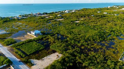 100x100 ft lot in Secret Beach, Belize with paved road access, perfect for building a home or investment property.
