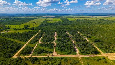 Iguana Vista land development map in Spanish Lookout, Belize featuring ¼-acre lots for sale.