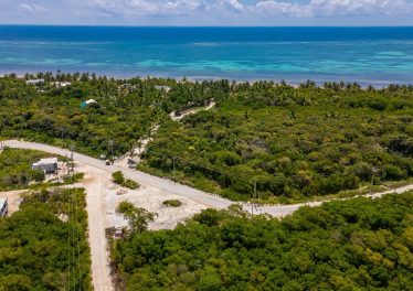 View of the naturally elevated terrain at Mile 7.5 North Ambergris
