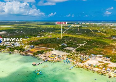 Wide aerial perspective of the Belize West Coast showing the short distance from this inland parcel to the turquoise waters and beachfront restaurants of Secret Beach.