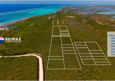 Ambergris aye investment lots aerial view of the subdivision