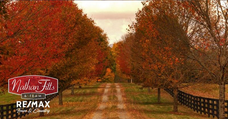 driveway with reddish trees on the sides 