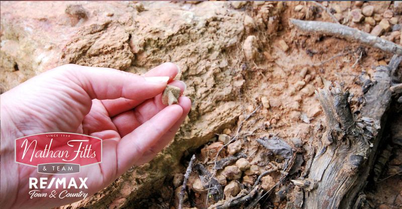 a hand picking a small stone 
