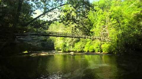Swinging Bridge