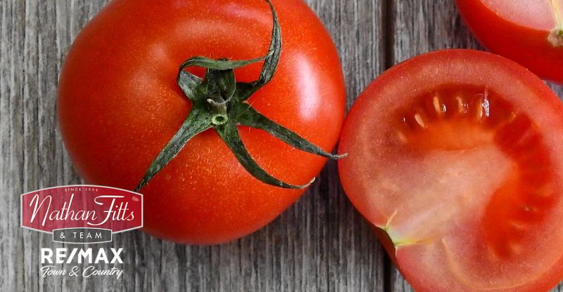 close up shot of tomatoes
